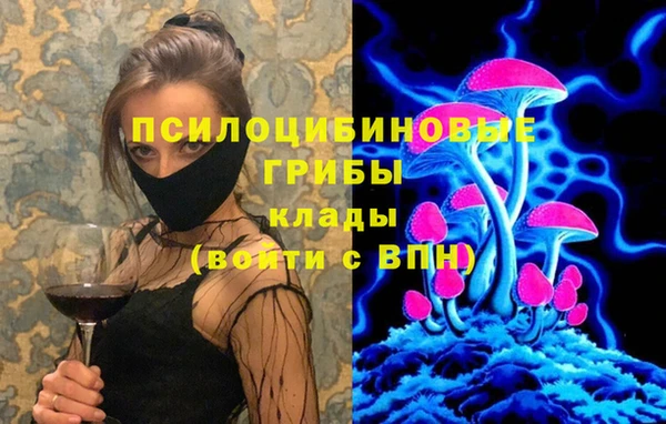 твердый Верея