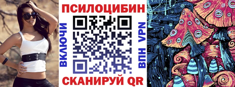 Псилоцибиновые грибы Cubensis  Дербент 